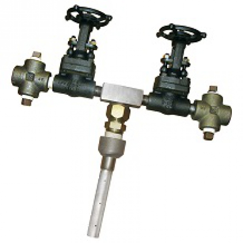 Thiết bị đo lưu lượng hơi Bager Meter