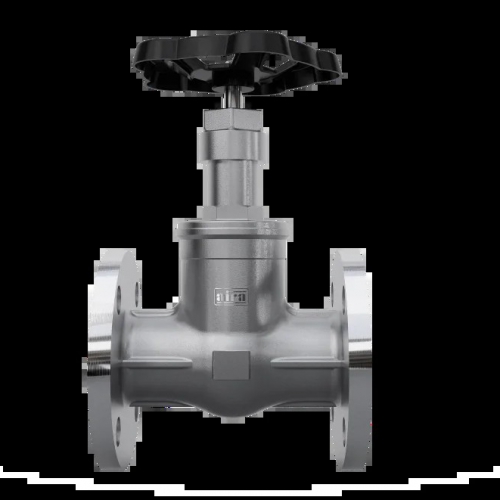 Aira Globe Type Flanged – Van điều khiển dạng cầu mặt bích