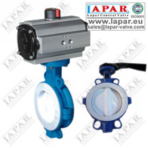 Van Bướm lệch tâm kép LPB15 